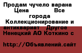 Продам чучело варана › Цена ­ 15 000 - Все города Коллекционирование и антиквариат » Другое   . Ненецкий АО,Коткино с.